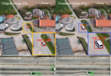 하늘 위의 포식자, 독수리 눈 닮은 카메라 개발 기존 카메라 시스템(왼쪽)에 비해 물체 감지 특화 카메라(오른쪽)는 중심와 시야 물체를 확대하여 물체 인식률이 우수하다