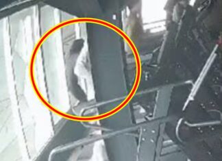 헬스장 러닝머신 뛰다가 돌연 추락사한 여성…영상 봤더니 엑스(X·옛 트위터)