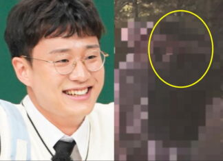 허웅 전여친 업소녀라고 기사 쓴 머니투데이 기자