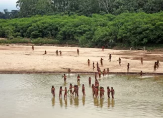 단발머리에 무기…문명 미접촉 부족 원주민 찍은 희귀 영상