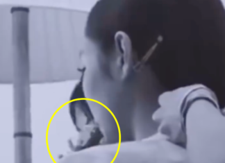 블랙핑크 제니 전자담배 피는 영상