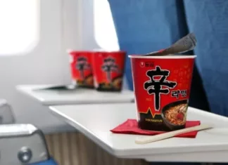 앞으로 대한항공 비행기에서는 컵라면 못 먹는다 기내 컵라면