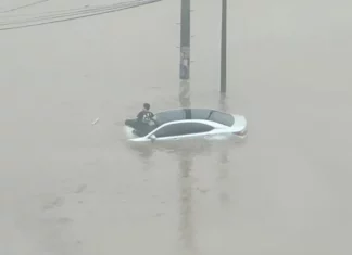 폭우 속 해탈한 듯 주저앉은 ‘김해 제네시스 아재’ 사진