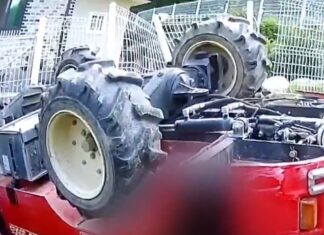 할아버지 농사일 돕던 20대 손녀 농기계 깔려 사망…추석 비극