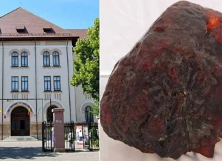 할머니 집 문 괴던 돌덩이, 감정 맡겼다가 초대박 난 사연