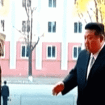 GIF11