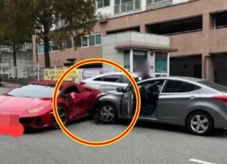 4억 람보르기니 들이받은 아반떼…안양 현장 사진에 담긴 얼굴