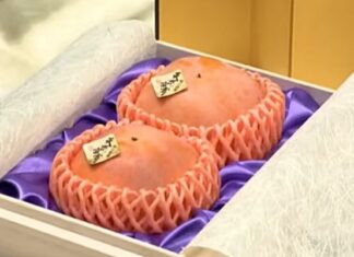 900만 원에 팔린 단감 두 알, 엄청난 브랜드 정체가…