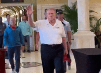 미국서 희귀한 장면이라고 난리 난 트럼프 올백 머리 영상 트럼프 올백머리