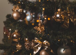 운전석엔 아빠, 뒷좌석엔 엄마와 아들딸…크리스마스 이브에 숨진 채 발견 크리스마스 트리