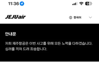 제주항공, 무안 공항 여객기 사고 터지고 바꾼 홈페이지 상황..
