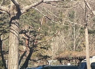 헌법재판소, 윤 대통령 탄핵 압박 최고조 윤대통령 체포당일 공수처 주변 모습