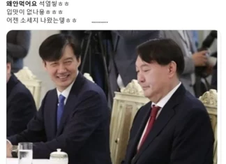 “구치소 밥 왜 안 먹어요 석열씨ㅎㅎ” 나란히 앉은 윤석열·조국 밈 조국 윤석열