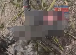 또 팀킬한 파병 북한군…“퇴각 중 러시아군 3명 잘못 쏴 죽여” 북한군