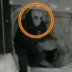 converted_image (1)