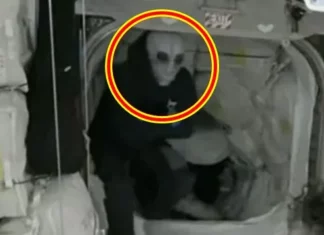 나사 우주정거장 생중계 영상에 찍힌 새하얀 외계인 얼굴