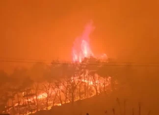 대형 산불 우려, 총력 대응 나서다