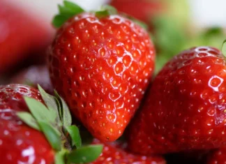 65세 이상 노인이 8주 동안 딸기 먹었더니 생긴 건강 변화 딸기