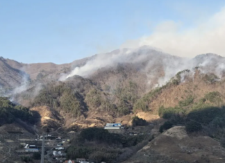 산불 재난 확산, 진화 대원 사망 및 실종 산청 산불