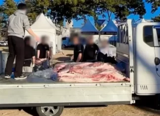 또 경찰이 조사 착수한 백종원 더본코리아 논란의 축제 사진