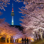 벚꽃남산