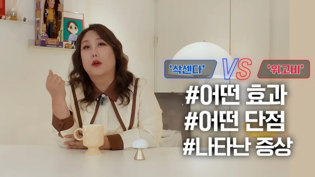 풍자