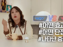 풍자