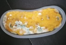 빽다방 메뉴 가바밥알떡에서 나온 선명한 곰팡이 사진