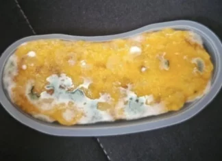 빽다방 메뉴 가바밥알떡에서 나온 선명한 곰팡이 사진