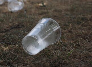 커피 안 마셨는데도 잠 못 자는 사람들 이유 플라스틱