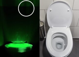 변기 뚜껑 안 닫고 물 내리면 벌어지는 끔찍한 일