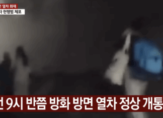 5호선 방화범, 고깃집 라이터로 불 낸 황당한 이유