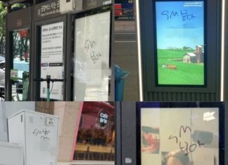 강남 일대에 도배된 가수 보아 모욕 낙서