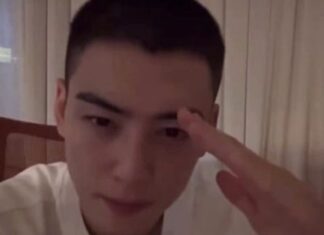 군필자가 지적한 차은우 왼손 경례 논란의 진실 차은우