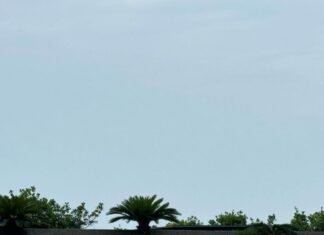 안타까운 폭우 속 구준엽 근황