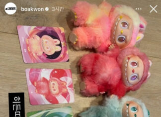 크림에서 산 ‘라부부’가 짝퉁?…보아 “짭이면 책임지세요” 분노