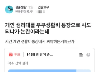 “부부 생활비 통장에서 생리대 사면 안돼?”…싸우고 있는 네티즌들