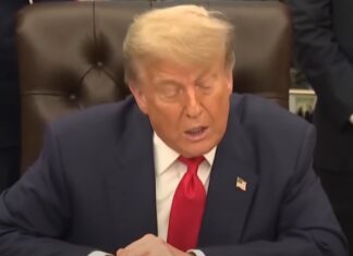 미국에서 나온 도널드 트럼프 치매설 근거 도널드 트럼프