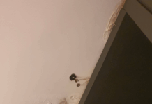 룸에서 버섯이 버젓이 자라고 있는 호텔은?