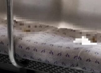 지하철 7호선 의자 대변 테러 사진