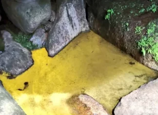 일본 후쿠시마 사찰에서 발견된 황금 샘물 황금샘물