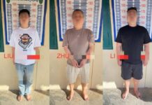 캄보디아 한국 대학생 사망 사건…범인은 중국인 3명 체포