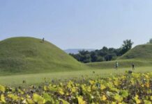 APEC 열리는 경주에서 목격된 몰상식 관광객…“나라 망신”