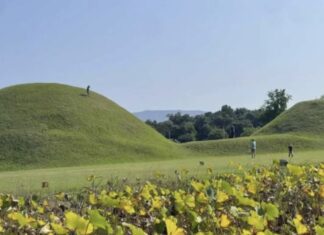 APEC 열리는 경주에서 목격된 몰상식 관광객…“나라 망신”