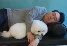 해외 순방 가면서 ‘개 스위트룸 의전’ 요구한 윤석열 김건희 윤석열 김건희