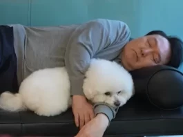 해외 순방 가면서 ‘개 스위트룸 의전’ 요구한 윤석열 김건희 윤석열 김건희