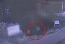 청주 실종 여성, 마대자루서 시신으로…전 남친이 범인이었다