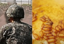 아내 몸에 ‘구더기’범벅 유기한 육군 부사관 긴급체포