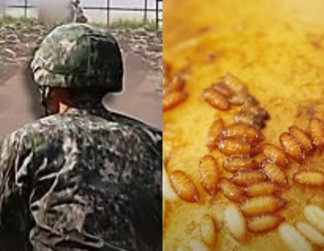 경기도 파주에 있는 한 군부대소속 부사관이 상처에 구더기가 생길 정도의 부인을 방치해 긴급 체포됐다.