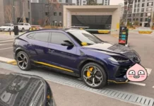 람보르기니로 수원 아파트 주차장 막은 20대 차주의 최후